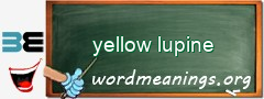 WordMeaning blackboard for yellow lupine